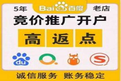 百度竞价排名服务的广告投放技巧与策略